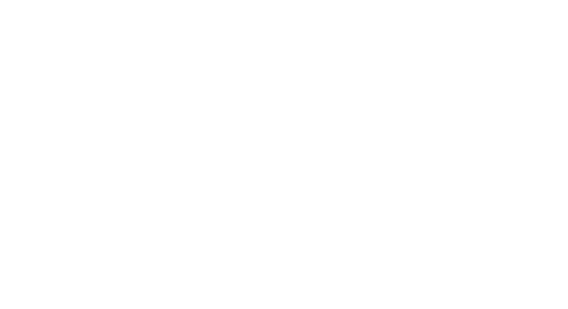 logo sleepers