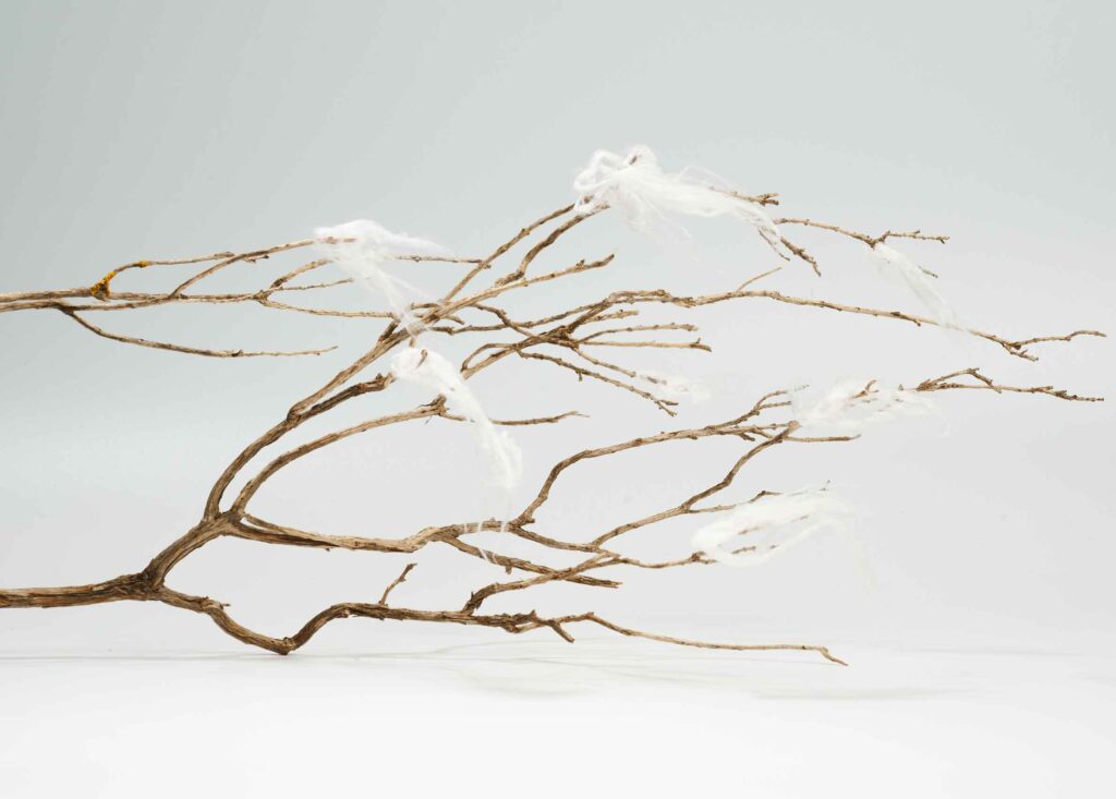 colchones naturales en santiago de compostela